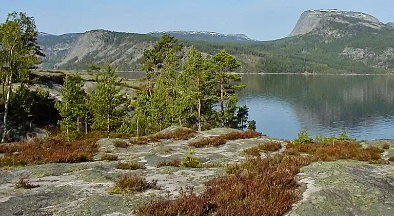 Holiday home in Nissedal