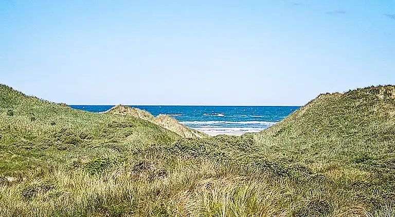 Holiday home in Saltum