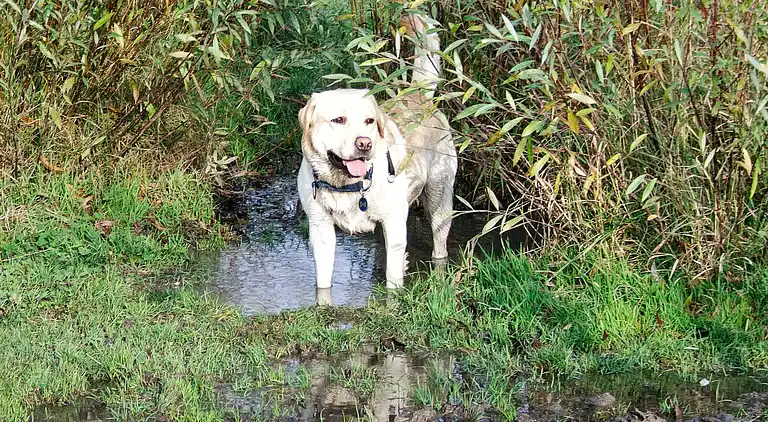 Feriebolig i Otterndorf