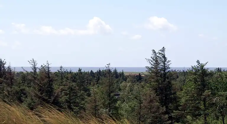 Sommerhus i Blåvand