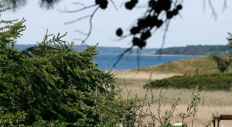 Holiday home in Millinge