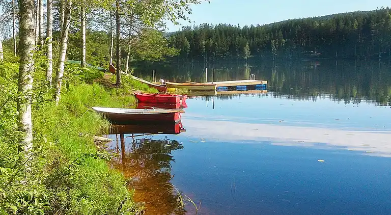 Feriebolig i Torsby V