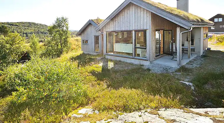 Sommerhus i Åseral