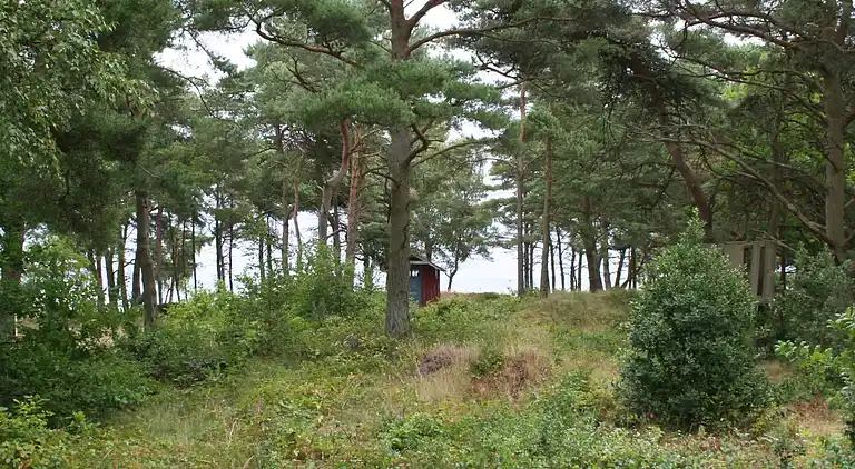 Holiday home in Snogebæk