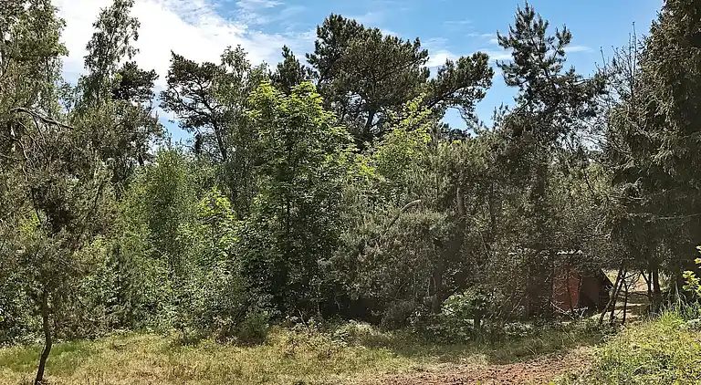 Casa de vacaciones en Sømarken