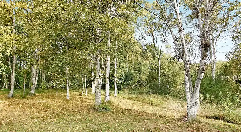 Sommerhus på Læsø