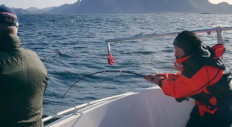 Casa de vacaciones en Vestvågøy