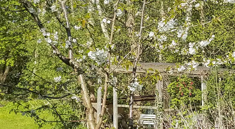 Sommerhus i Søby Ærø