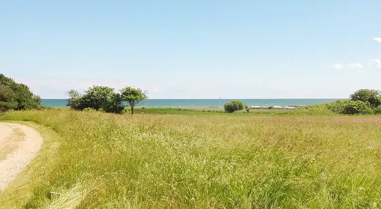 Holiday home in Frederikshavn Municipality