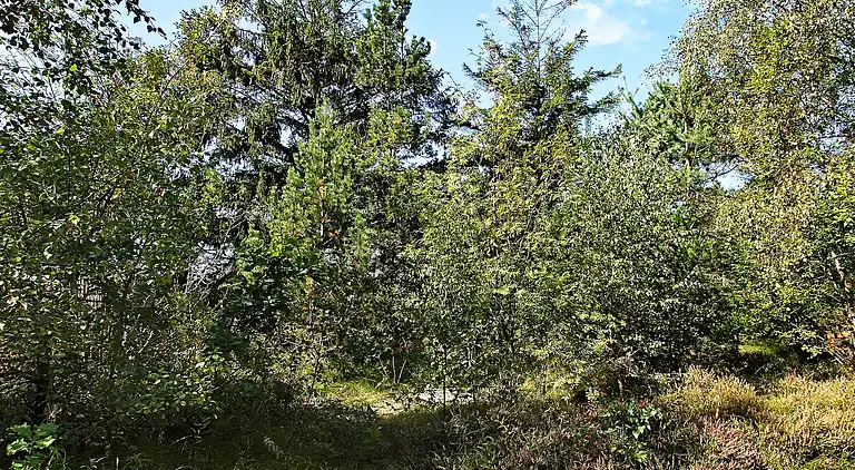 Holiday home on Læsø