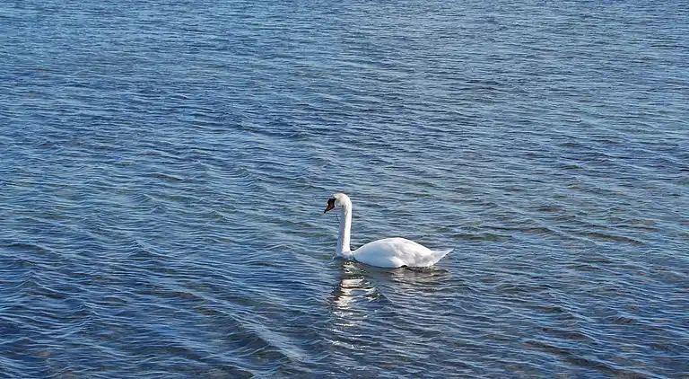 Casa vacanze in Maribo