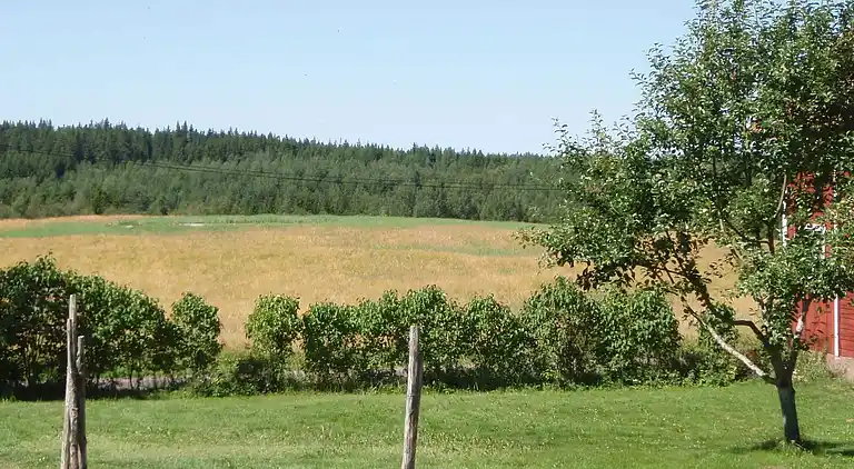 Sommerhus i Gibberyd