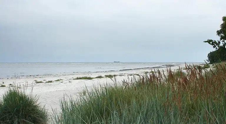 Holiday home in Snogebæk
