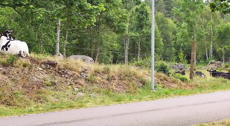 Casa vacanze in Jonsrud