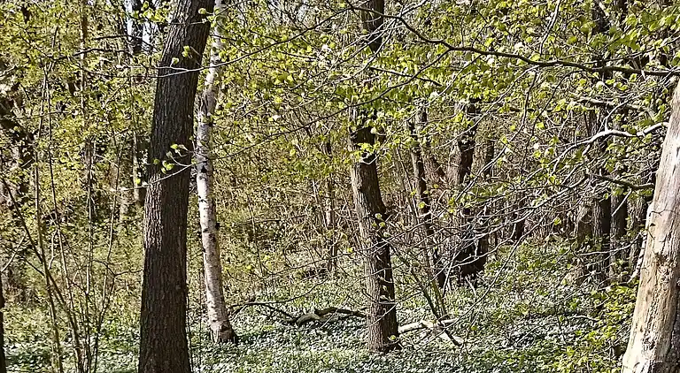 Holiday home in Storvorde