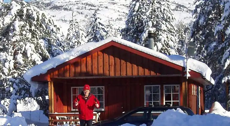 Holiday home in Nissedal