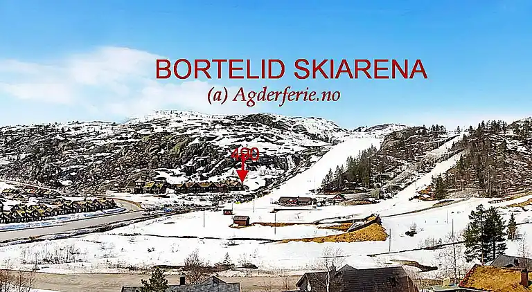 Holiday home in Åseral Municipality