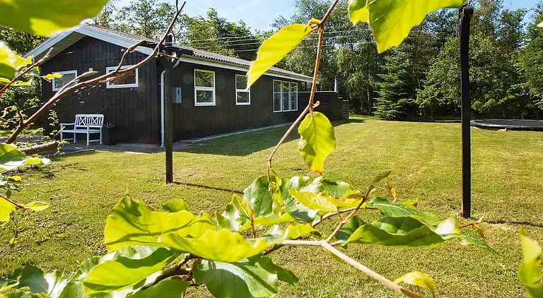 Holiday home in Bork Havn