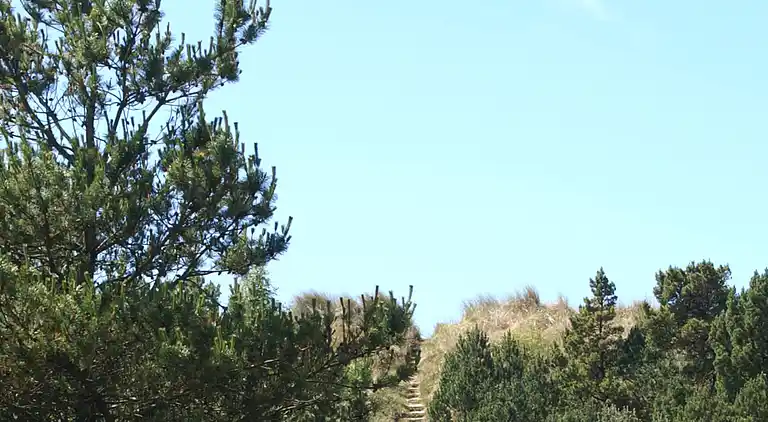 Sommerhus i Blåvand