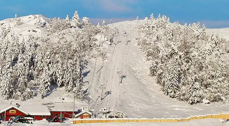 Holiday home in Åseral Municipality