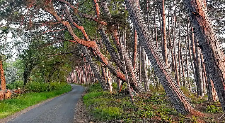 Holiday home in Borgholm N