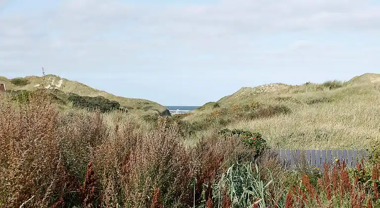 Holiday home in Saltum