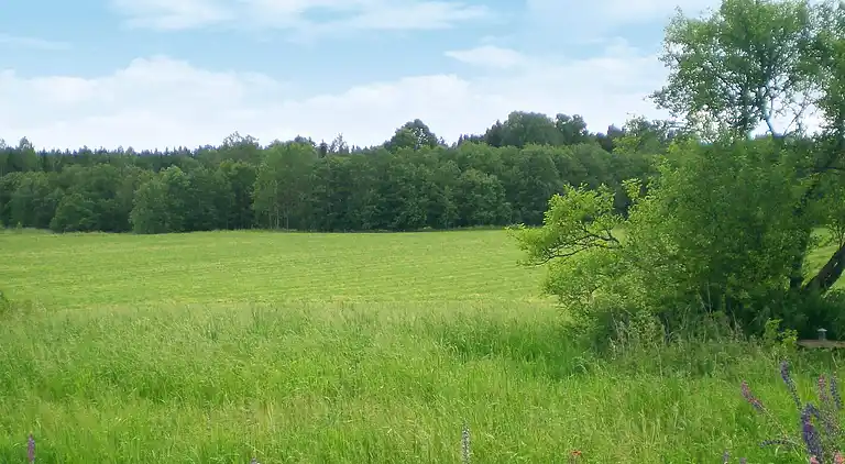 Semesterbostad i Rudsta