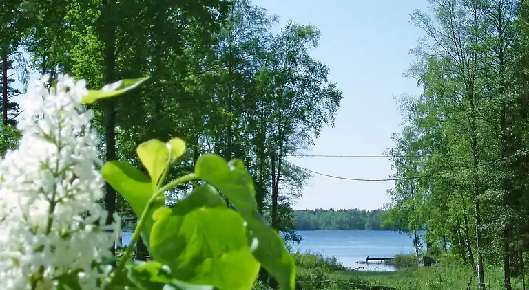 Holiday home in Ronneby NV