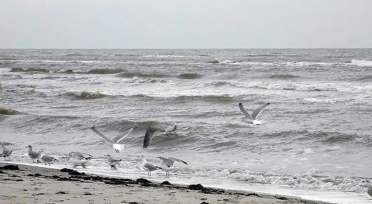 Holiday home in Kattenberg