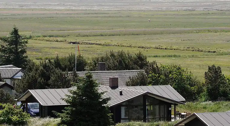 Sommerhus i Blåvand