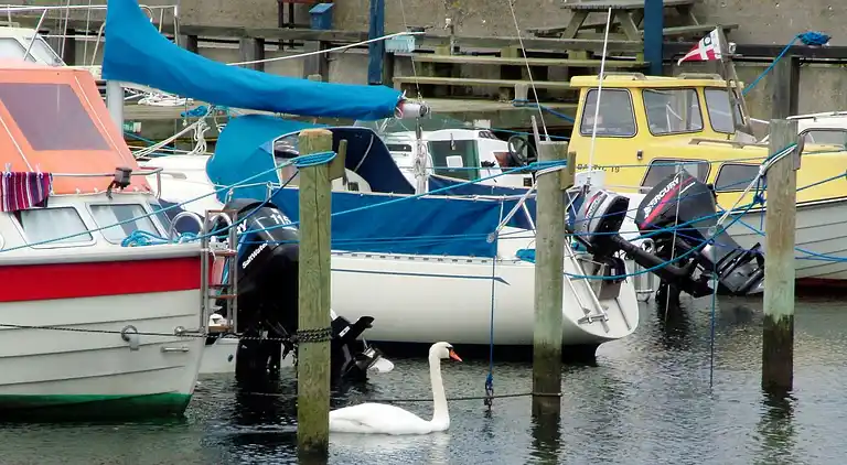 Sommerhus i Tranekær