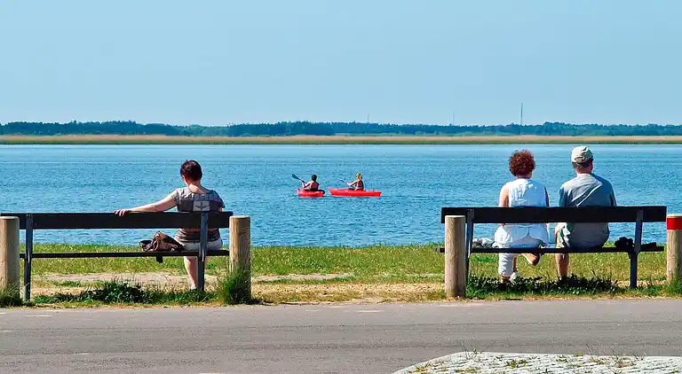 Sommerhus i Bork Havn