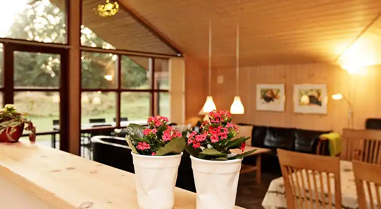 Sommerhus ved Vejers Strand
