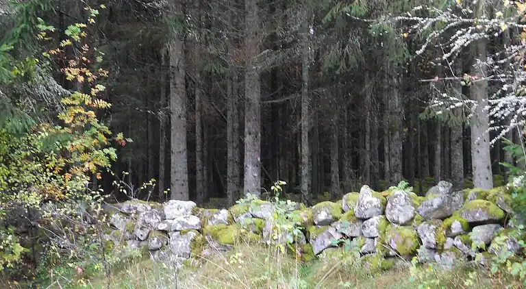 Holiday home in Osby