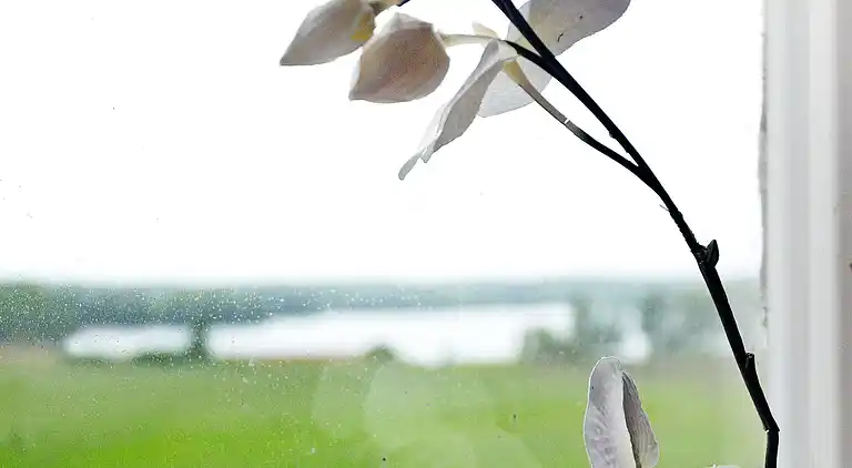 Holiday home in Linhult