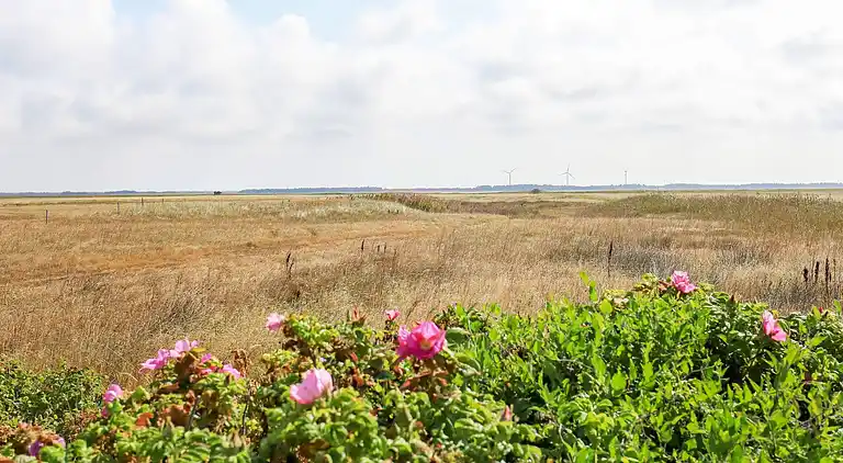 Holiday home in Bøvlingbjerg