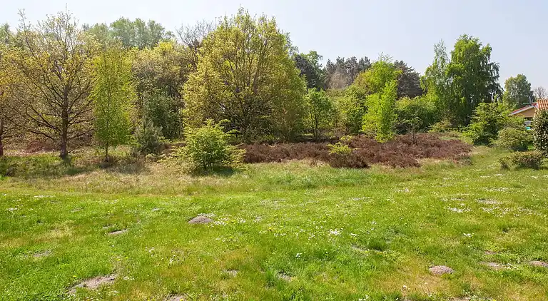 Holiday home in Kattenberg