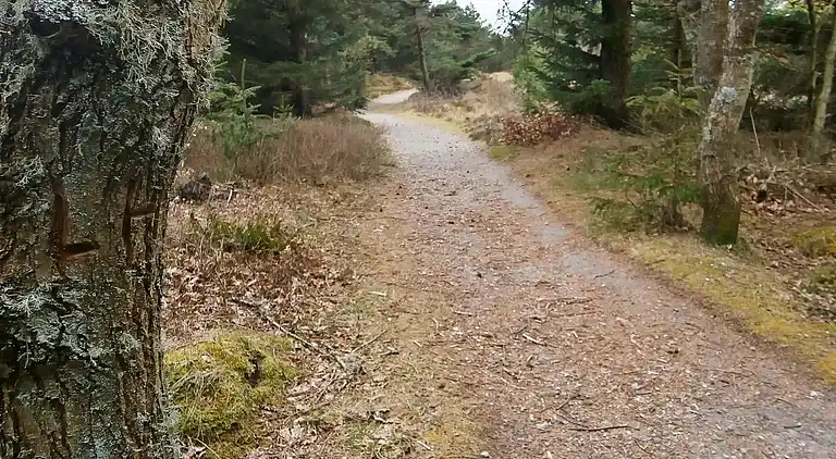 Sommerhus i Nørre Fjand