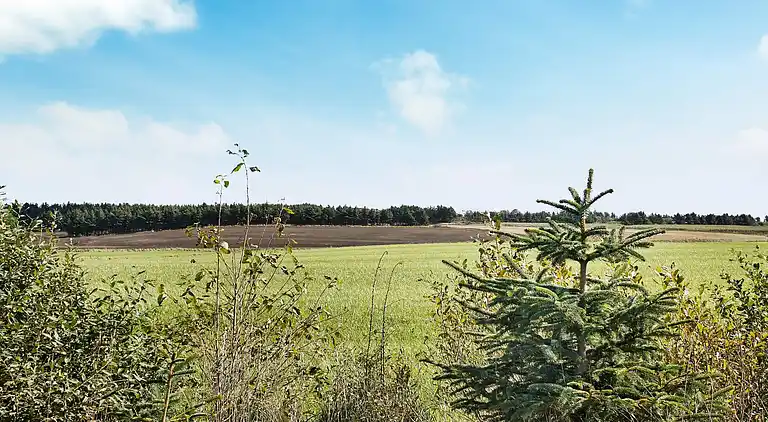 Holiday home in Nr Lyngby Strand