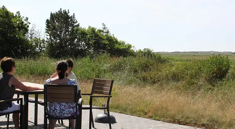 Sommerhus i Blåvand