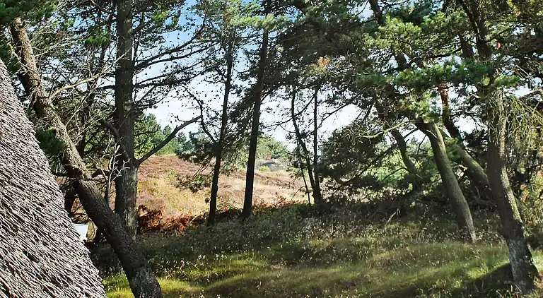 Holiday home in Havneby