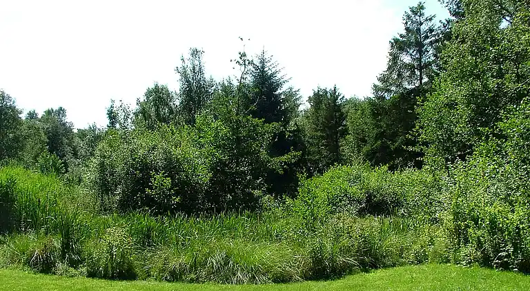 Feriebolig i Bogense