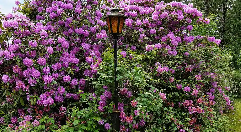 Casa vacanze in Varberg V