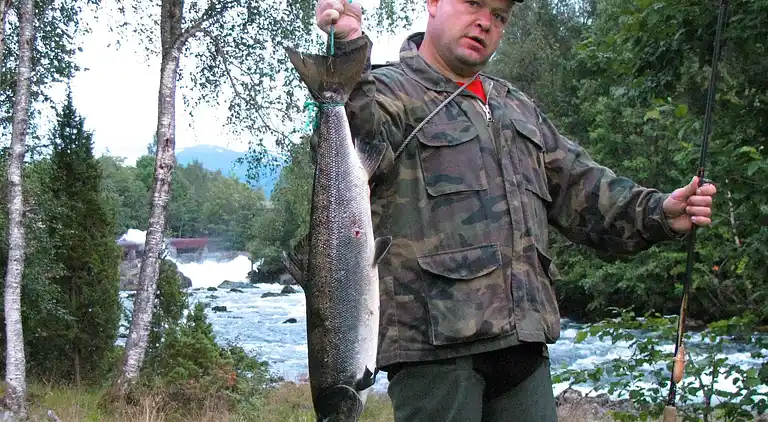 Holiday home in Myklebust