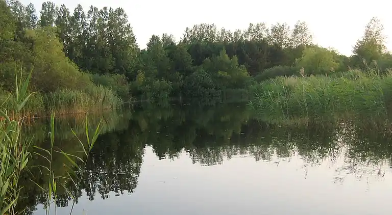 Sommerhus i Tranekær