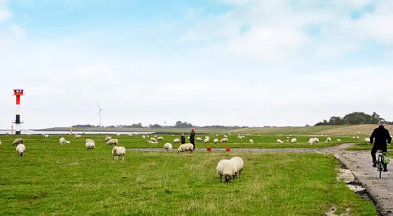 Feriebolig i Otterndorf
