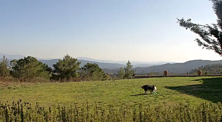 Mandolino Apartment Tuscany countryside, Siena