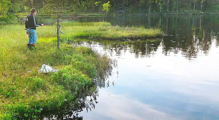 Feriebolig i Torsby V