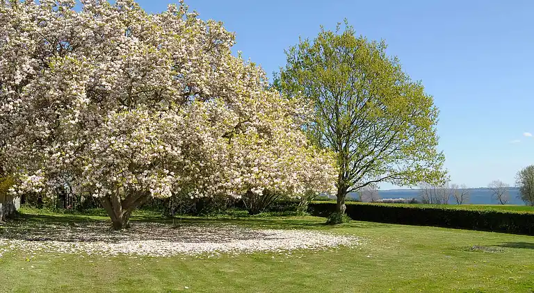 Casa de vacaciones en Broager