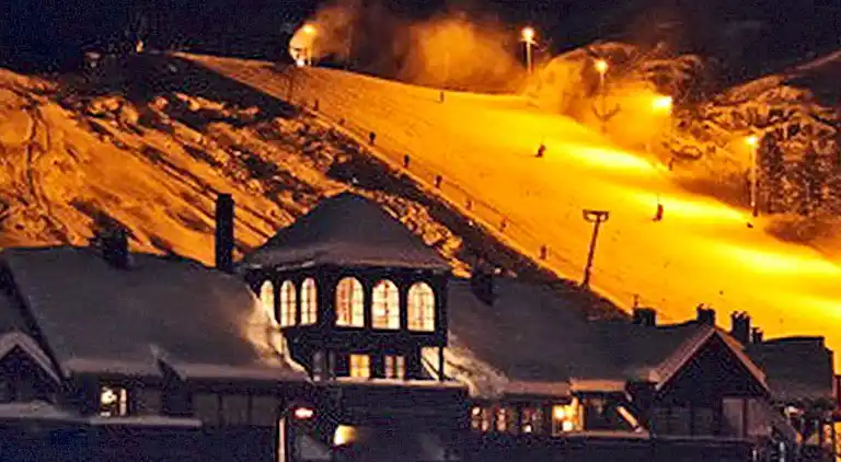 Holiday home in Åseral Municipality